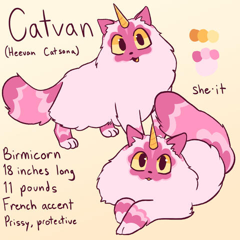 A pink catsona that is a birmicorn (a birmi is a fluffy french cat breed mixed with a unicorn, think unikitty lego movie)