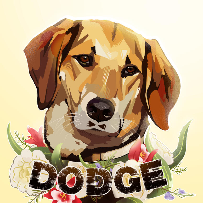 The first dog I lost at the shelter.